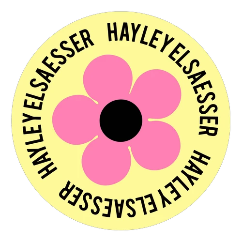 hayleyelsaesser.com