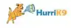 hurrik9.com