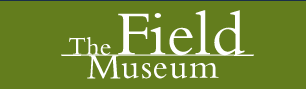 fieldmuseum.org